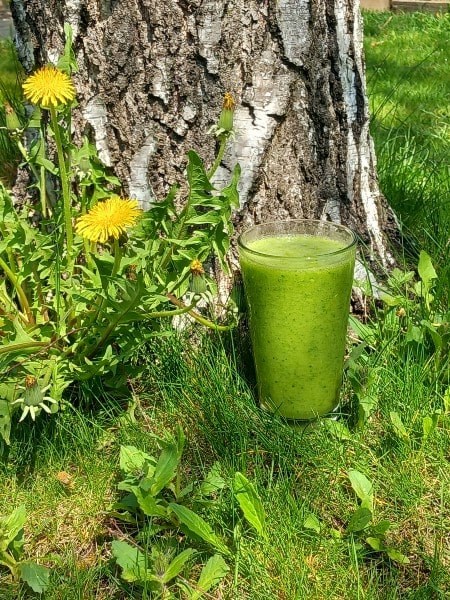 Thyroid Healing Smoothie